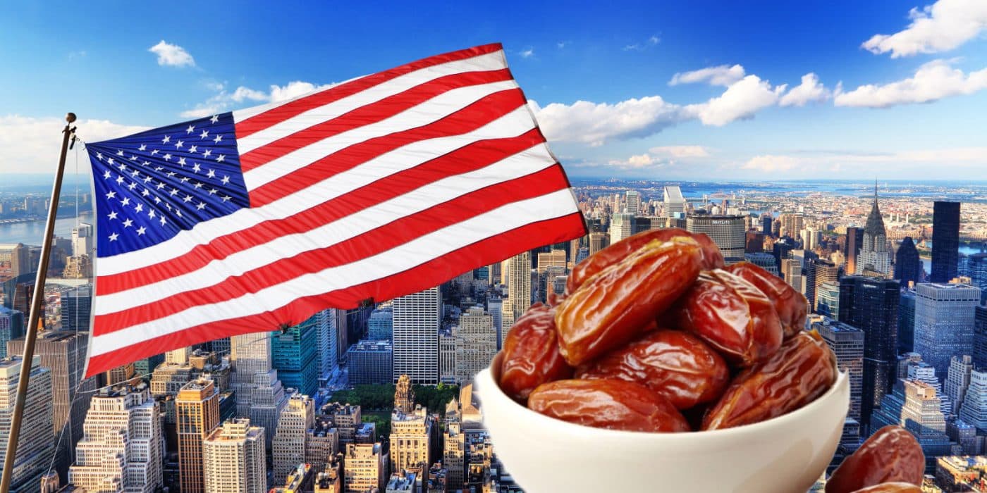 US Date Market in 2023