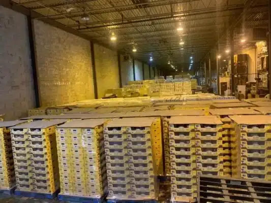 7 Tips for Storing Date